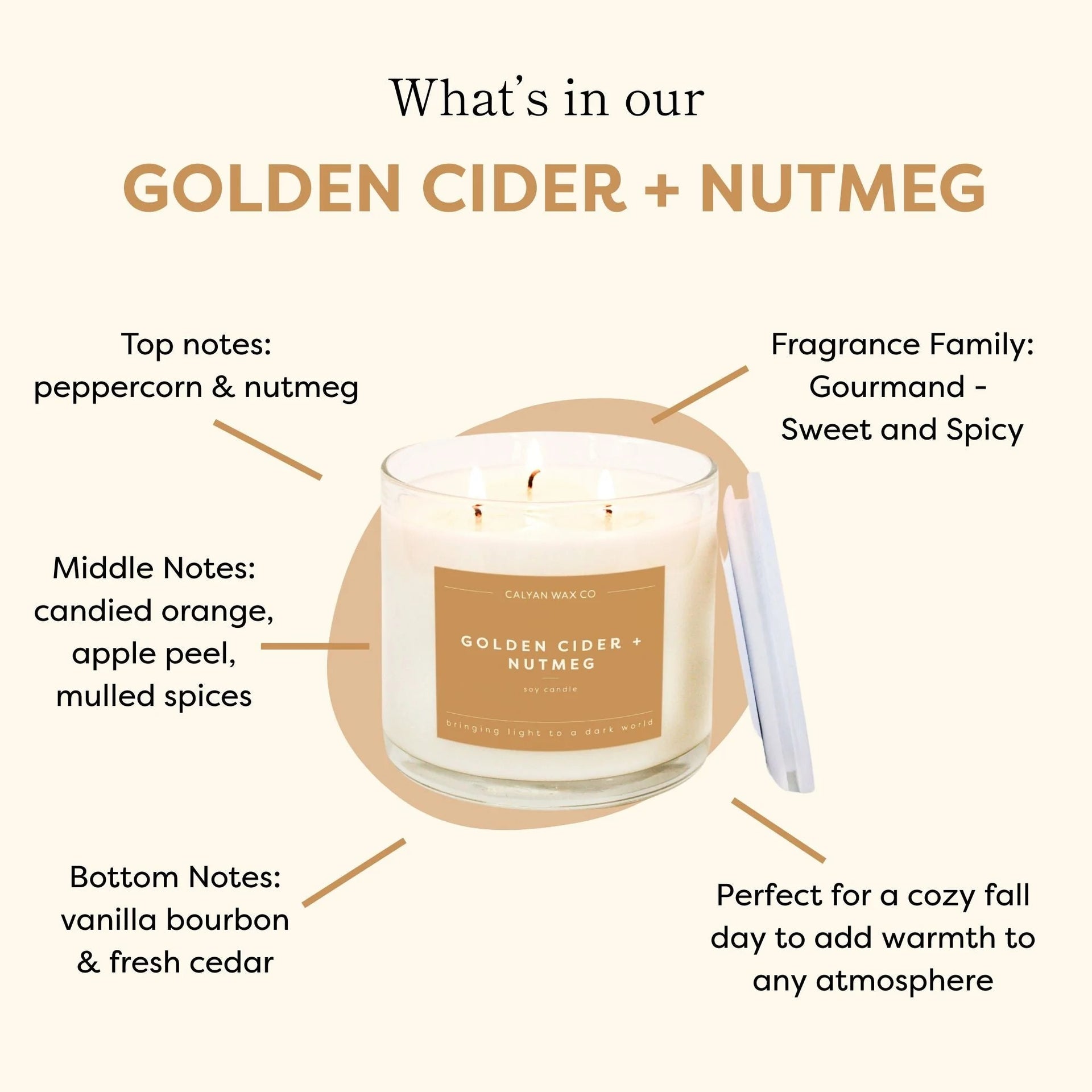 Golden Cider + Nutmeg 3-Wick Clear Glass Tumbler Soy Candle