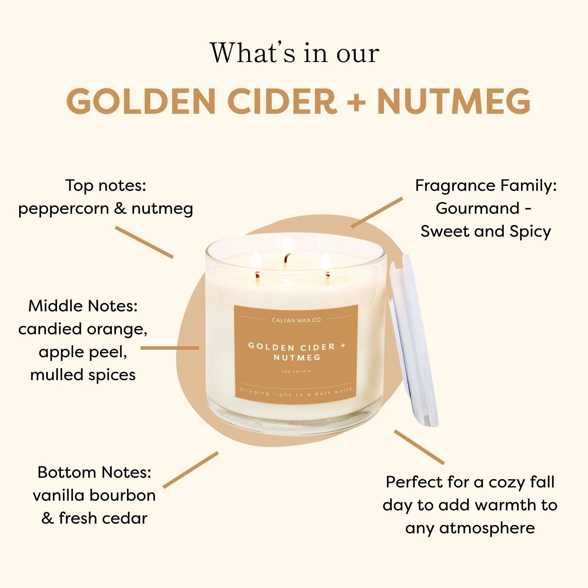 Golden Cider + Nutmeg 3-Wick Clear Glass Tumbler Soy Candle